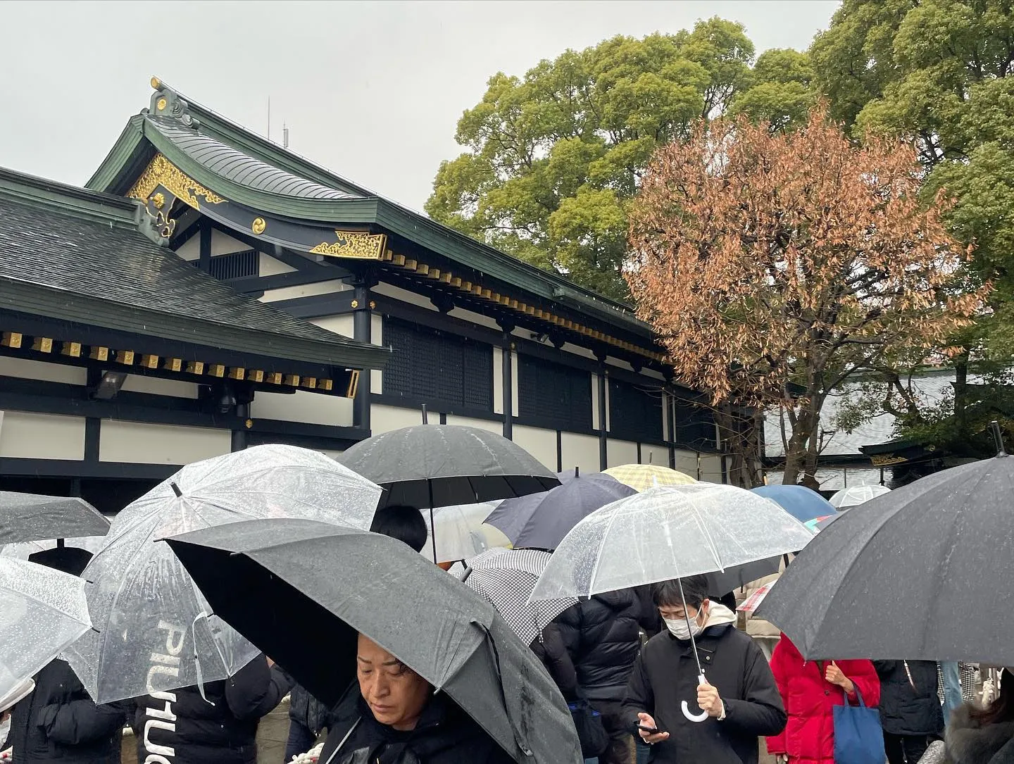 本年も大変お世話になりました🙇