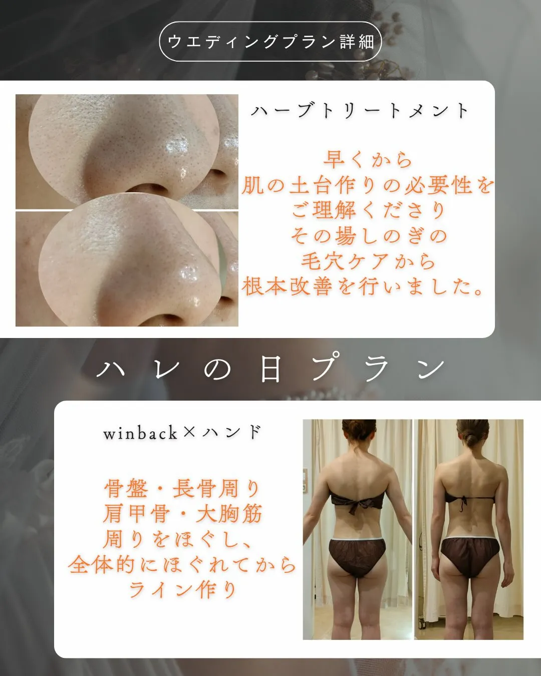 素敵なお写真をいただいたので